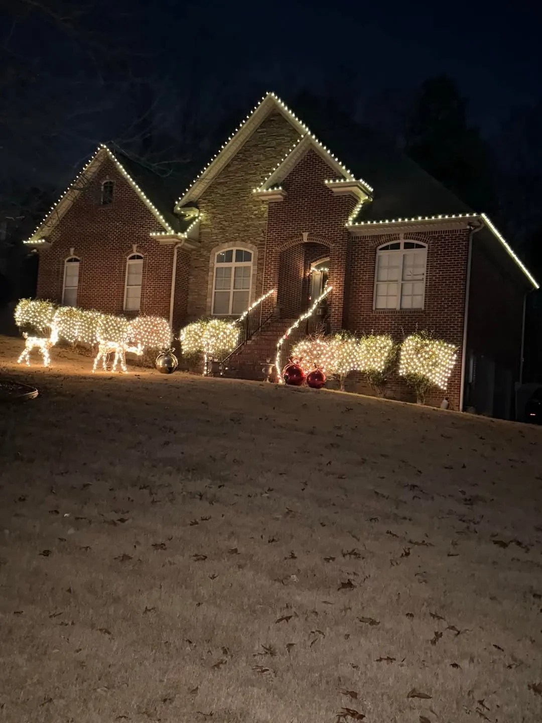 Lit shrubs and yard pieces at night